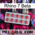 Rhino 7 Beta 18